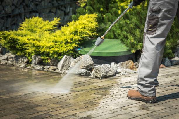 Best Patio and Deck Pressure Washing  in Alachua, FL
