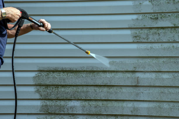 Trusted Alachua, FL Pressure Washing Services Experts